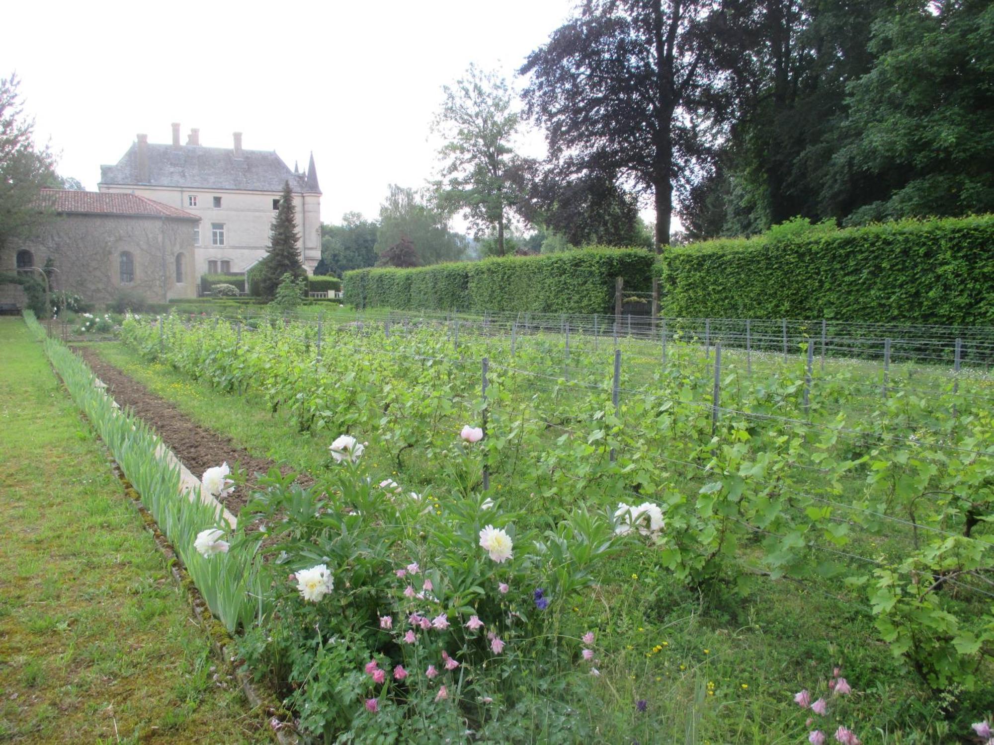 Chateau Des Monthairons Hotel Restaurant Gastromaison Spa Privatif Les Monthairons Eksteriør bilde